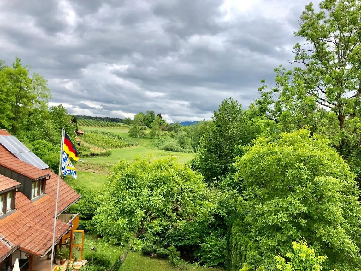 Wohnung #6 Mit Balkon In Ruhiger Aber Zentrale Lage - Stadtbus Vor Der Tuer! Lindau  Apartment Lindau (Bodensee)