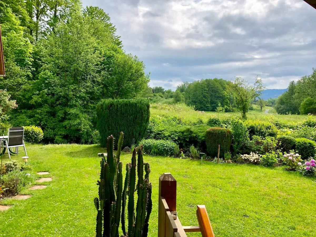 Wohnung #6 Mit Balkon In Ruhiger Aber Zentrale Lage - Stadtbus Vor Der Tuer! Lindau  Lindau (Bodensee)