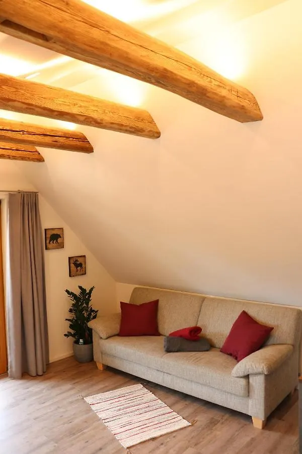 Apartment Wohnung #6 Mit Balkon In Ruhiger Aber Zentrale Lage - Stadtbus Vor Der Tuer! Lindau
