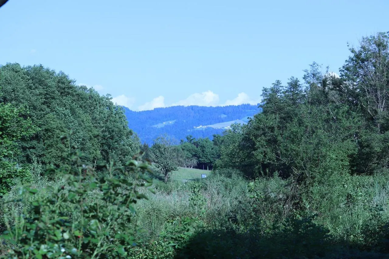 Wohnung #6 Mit Balkon In Ruhiger Aber Zentrale Lage - Stadtbus Vor Der Tuer! Lindau  Apartment